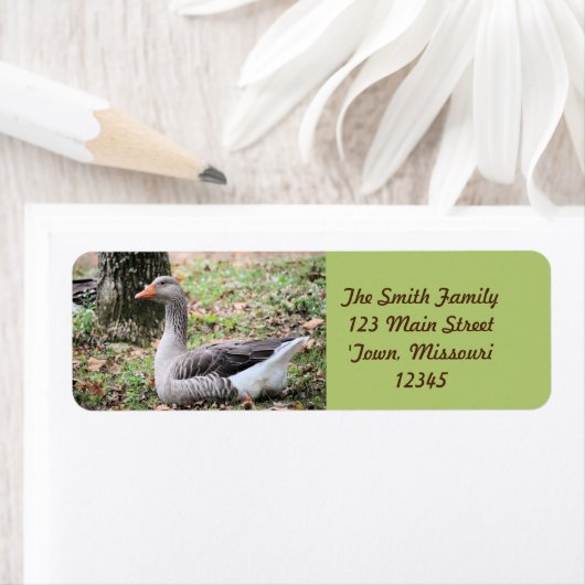 フラフ ラベル (インサイチュ)