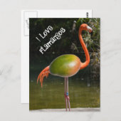 フラマンゴ ポストカード (正面/裏面)