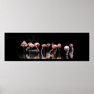 フラミンゴかわいらし ポスター