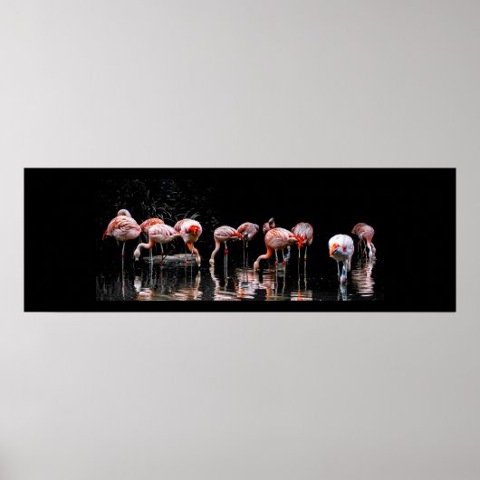 フラミンゴかわいらし ポスター (正面)