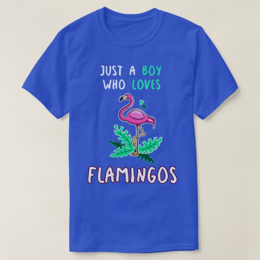 フラミンゴが大好きな少年 Tシャツ (デザイン正面)