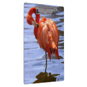 フラミンゴが水の片足に浮かぶ クリップボード (右)