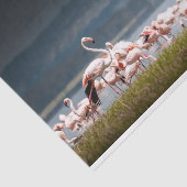 フラミンゴのイメージのティッシュペーパー 薄葉紙 (詳細)