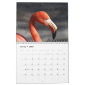 フラミンゴのカレンダー2019年 カレンダー (1月 2026)