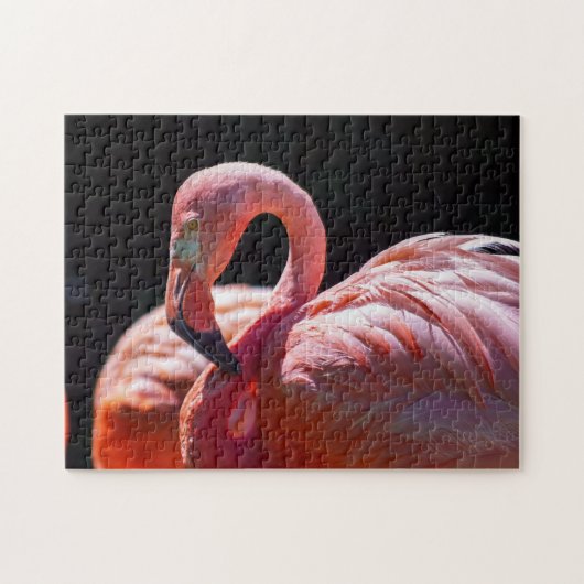 フラミンゴのパズル ジグソーパズル (横)