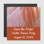 フラミンゴのピンク色の羽 (正面/裏面)