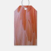 フラミンゴのピンク色の羽 ギフトタグ (正面)