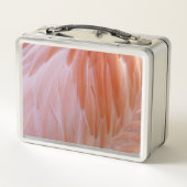フラミンゴのピンク色の羽 メタルランチボックス (裏面)