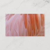 フラミンゴのピンク色の羽 名刺 (裏面)