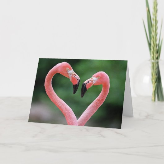 フラミンゴのメッセージカード カード (正面)