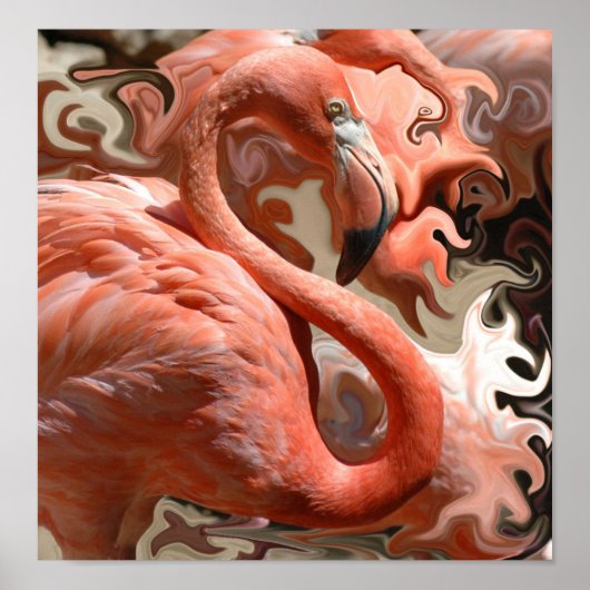 フラミンゴの夢 ポスター (正面)