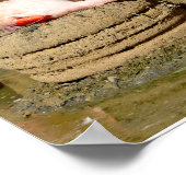 フラミンゴの巣 ポスター (角)