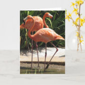 フラミンゴの挨拶状の群 カード (黄色い花)