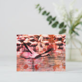 フラミンゴの知恵 ポストカード (スタンド正面)