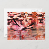 フラミンゴの知恵 ポストカード (正面/裏面)