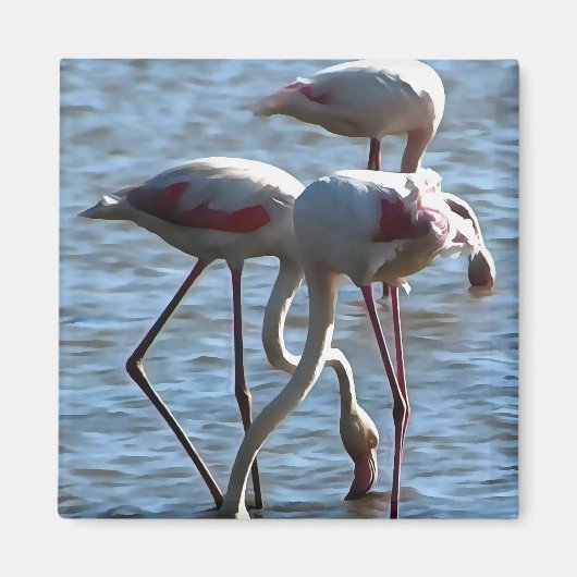フラミンゴの給餌時間 アクリル画 マグネット (正面)