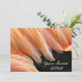 フラミンゴの羽_ 招待状 (スタンド正面)