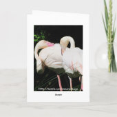 フラミンゴの鳥の挨拶状ありがとう サンキューカード (裏面)