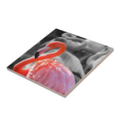 フラミンゴの鳥写真 タイル (側面)