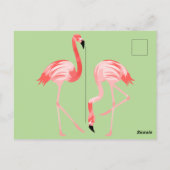 フラミンゴの鳥 ポストカード (裏面)