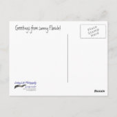 フラミンゴはがき ポストカード (裏面)