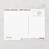 フラミンゴカリブのス# 12 ポストカード (裏面)