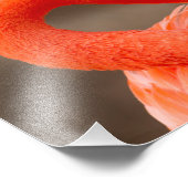 フラミンゴカリブの フォトプリント            (角)