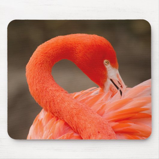 フラミンゴカリブの マウスパッド (正面)