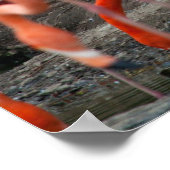 フラミンゴスのポスター ポスター (角)