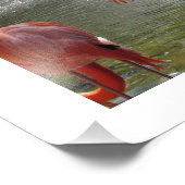 フラミンゴスアットファウンテンフォトプリントバイリンダ・ベッカー フォトプリント (角)