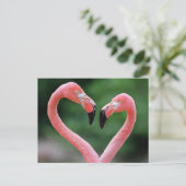 フラミンゴスハガキ ポストカード (スタンド正面)