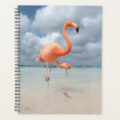 フラミンゴスビーチアルバ プランナー手帳 (正面)
