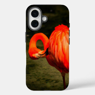 フラミンゴデザインのアップルiPhoneケース iPhone 16ケース
