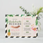 フラミンゴバチェロレッテ（旅程への招待） 招待状 (スタンド正面)