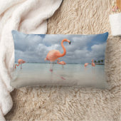 フラミンゴビーチアルバ ランバークッション (ブランケット)