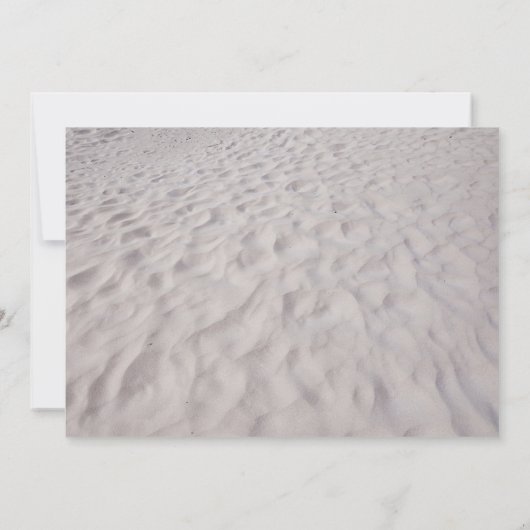 フラミンゴビーチクリスマスパーティの招待状 招待状 (裏面)