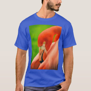 フラミンゴフラメンコロン Tシャツ