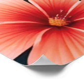 フラミンゴ愛のトロピカルアートポスター ポスター (角)