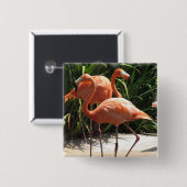フラミンゴ正方形Pinの群 缶バッジ (正面&裏面)