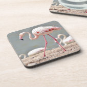 フラミンゴ歩く地上 コースター (左側)