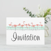 フラミンゴ海行の招待 招待状 (スタンド正面)