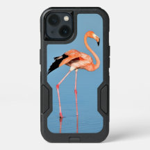 フラミンゴ湖ウォーク |鳥