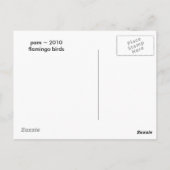 フラミンゴ湖 ポストカード (裏面)