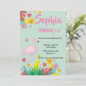 フラミンゴ熱帯性 招待状 (スタンド正面)