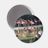 フラミンゴ磁石 マグネット (正面/裏面)