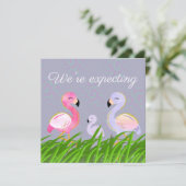 フラミンゴ紫色の妊娠を期待する 案内状 (スタンド正面)