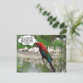 フラミンゴ羨望 ポストカード (スタンド正面)