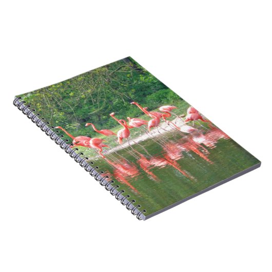 フラミンゴ行で湖の春,鳥ピンク野生動物 ノートブック (右側)