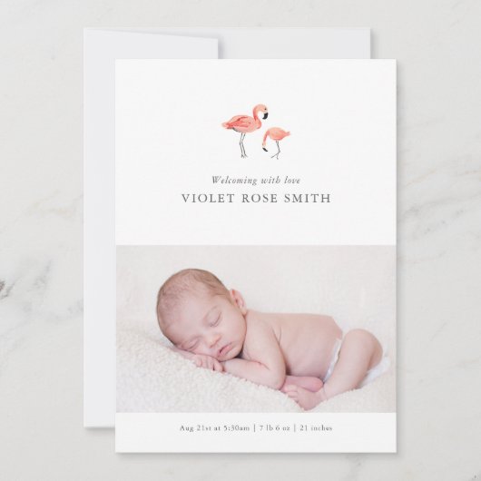 フラミンゴ誕生のお知らせ 案内状 (正面)