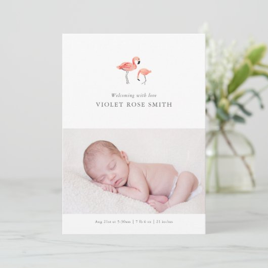 フラミンゴ誕生のお知らせ 案内状 (スタンド正面)